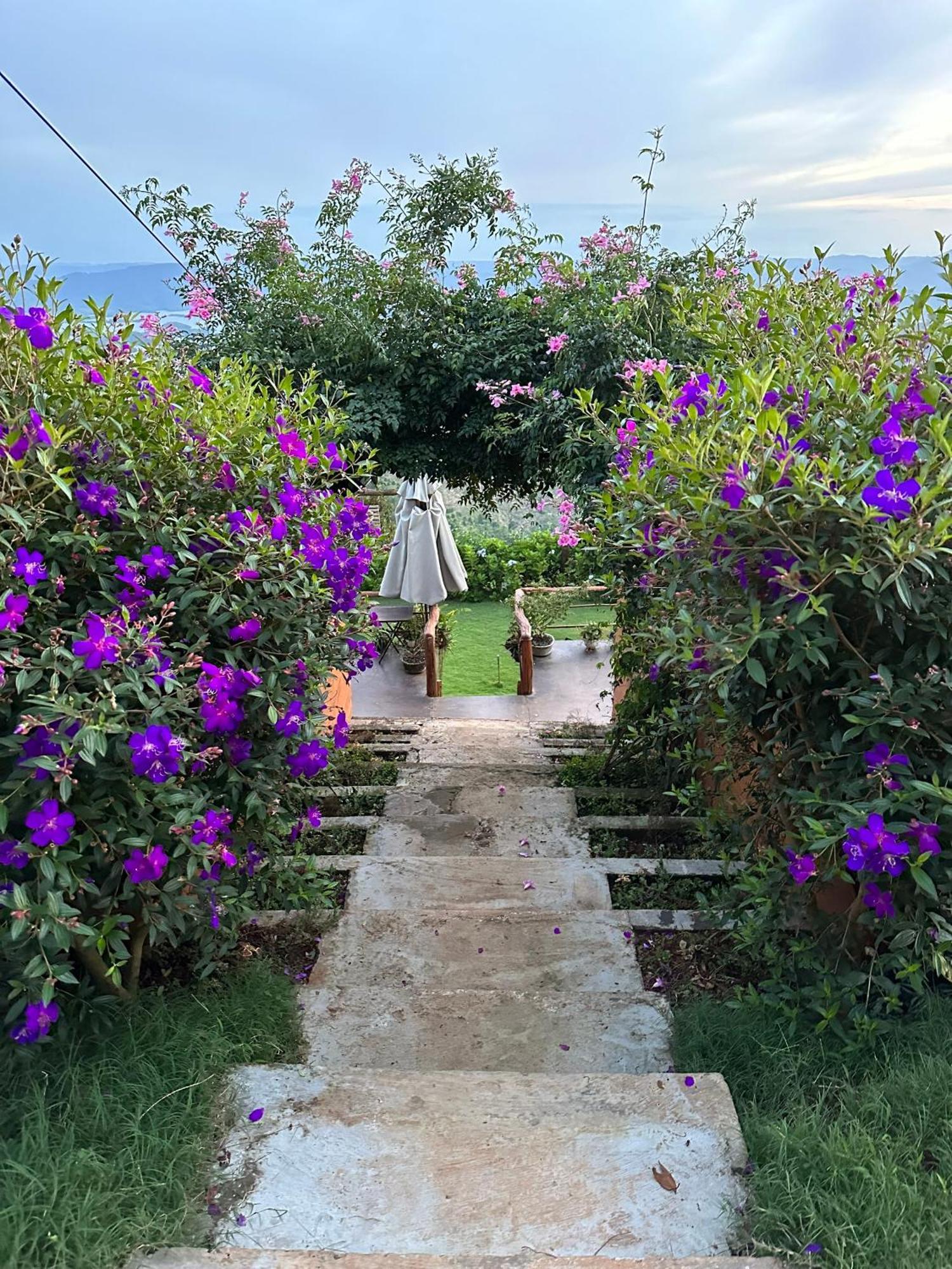 Ta Dung May Farm Bidong Εξωτερικό φωτογραφία